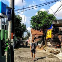 Фотографии пользователя Giulio Fortini