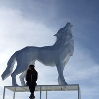 Małgorzata Sobota的照片