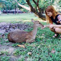 Lee Won Young的照片