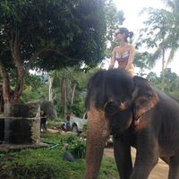 Фотографии пользователя Rachel Relkin