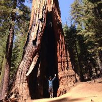 Takahiro Kashima's Photo