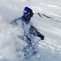 TOSHINOBU NISHINO's Photo