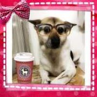 Chien-Chien Human的照片