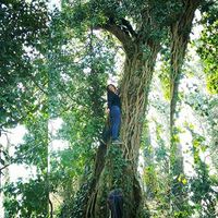 Işık Çakır's Photo