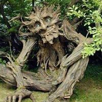 Le foto di Andre Pittaway