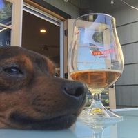 Fotos de Derrick Swedeliu