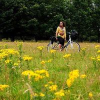 Cristina Lirola Cobo's Photo