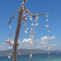 Eva Salgado Rodríguez's Photo