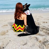 Fotos de Rachel Baufieldr