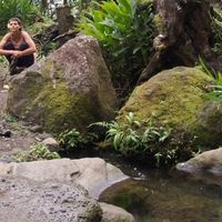 Professor Kadaj的照片