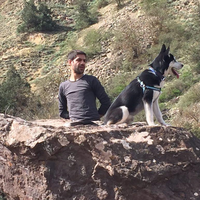 Le foto di Hossein Heidari