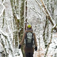 Gwendoline  Monnier's Photo