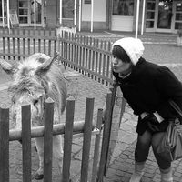 Deana Mrkaja's Photo