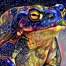 Bufo Alvarious 's picture