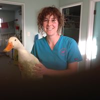 Ella  Campbell-Hall的照片