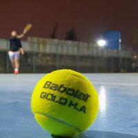 Фотографии пользователя Mehran Arasteh