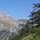 Trekking Alpi Apuane - Pania della Croce's picture