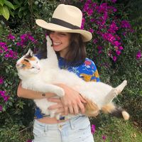 Le foto di Andrea Restrepo