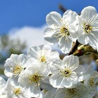 Trần Thúy Hiền's Photo