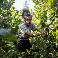 Yanis Tressard's Photo