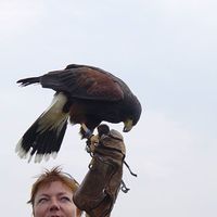 Yvonne van Dijk's Photo