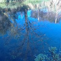 Le foto di Santiago Montenegro