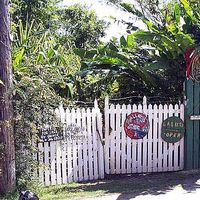 Christine Dumplins's Photo