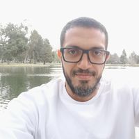 محمود شنن的照片