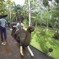 Marcin Moskala's Photo