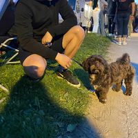 Fotos de Dávid Poliak