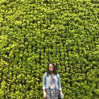 Michelle Gilliland的照片