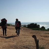 Lisa Weilandt's Photo