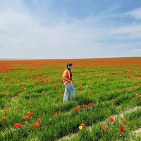 Akmaral Mulan's Photo