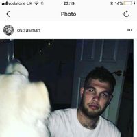 Oskar Strasman的照片