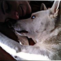 Фотографии пользователя Tes Nehuén