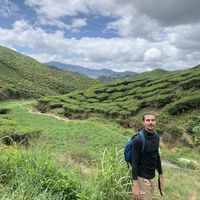 Le foto di Joey Tisseron