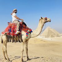 Tahir Shaikh's Photo