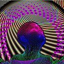 Psychotherapy with psilocybin 's picture