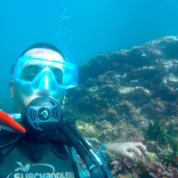 mounir fier的照片