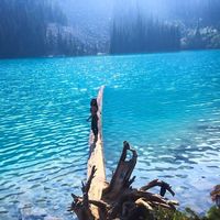 Karen Rocha的照片