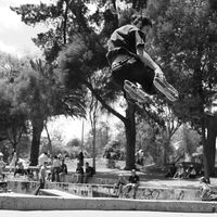 Nicolás Ortega的照片