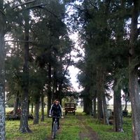 Paula Borghi's Photo