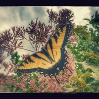 Bernard Sublett's Photo