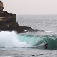 Jose  Gomez的照片