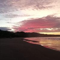 Andrey Rodriguez's Photo