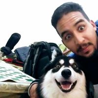 Photos de YOUSSEF ELMENOUAR