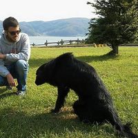 Carlos Pesque的照片