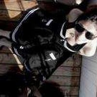 Sabrina Brandt's Photo