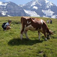 YEONGJIN JEON's Photo