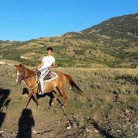 Mattia Spallino的照片